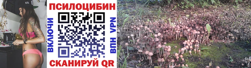 Псилоцибиновые грибы Psilocybe  Саяногорск 